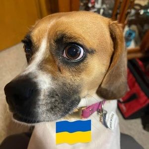 Meet your Posher, Jeff